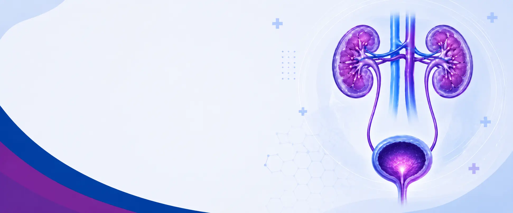 Urology banner