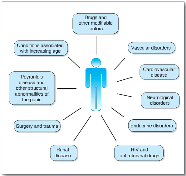 Erectile Dysfunction is Multi factorial 